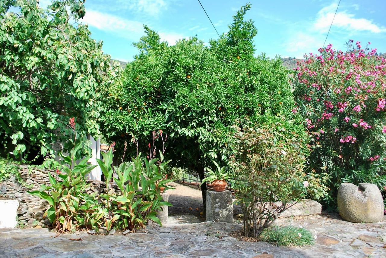 Vila Casa De Mendiz Vale de Mendiz Exteriér fotografie